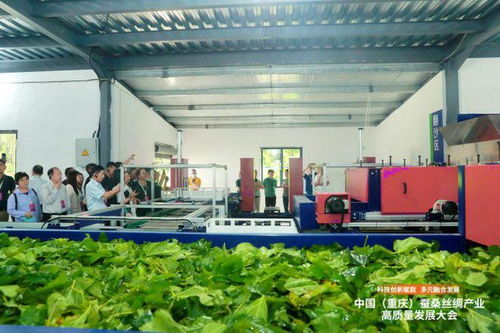 科技創新賦能，推動成渝地區蠶桑絲綢產業一體化發展