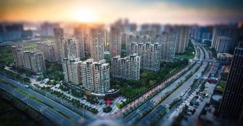 金華市區(qū)房地產(chǎn)調(diào)控新政出臺(tái) 樓市迎來(lái)重大調(diào)整